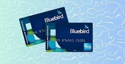 Buy Verified Bluebird Accounts