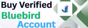 Buy Verified Bluebird Accounts